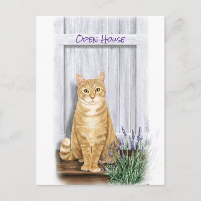 Postal Naranja Tabby Cat en la puerta con flores de lavan (Anverso)
