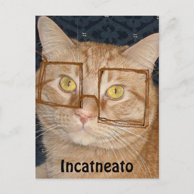 Postal Naranja Tabby Cat/Incognito (Anverso)