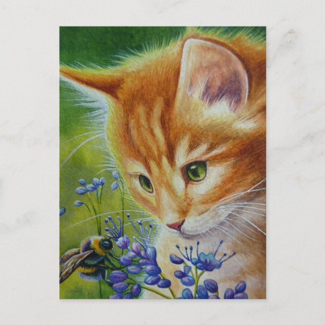 Postal Naranja Tabby Kitten & Bumblebee Watercolor Art (Anverso)
