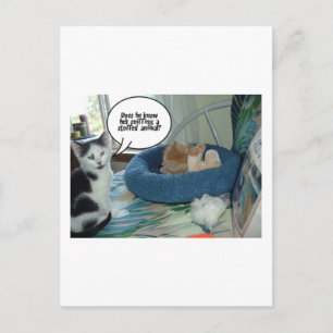 Postal Naranja Tabby Kitty Cat