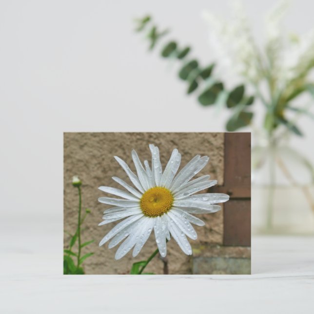 Postal Naranja Tiger Lily (Anverso de pie)