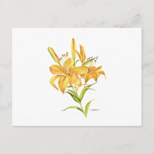 Postal Naranja tigerliano acuarela botánica