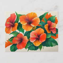 Postal Naranja Tropical Hawai Hibiscus Flower