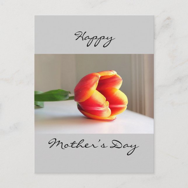 Postal Naranja Tulip (Anverso)