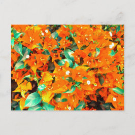 Postal Naranja vibrante Bougainvillea Flores