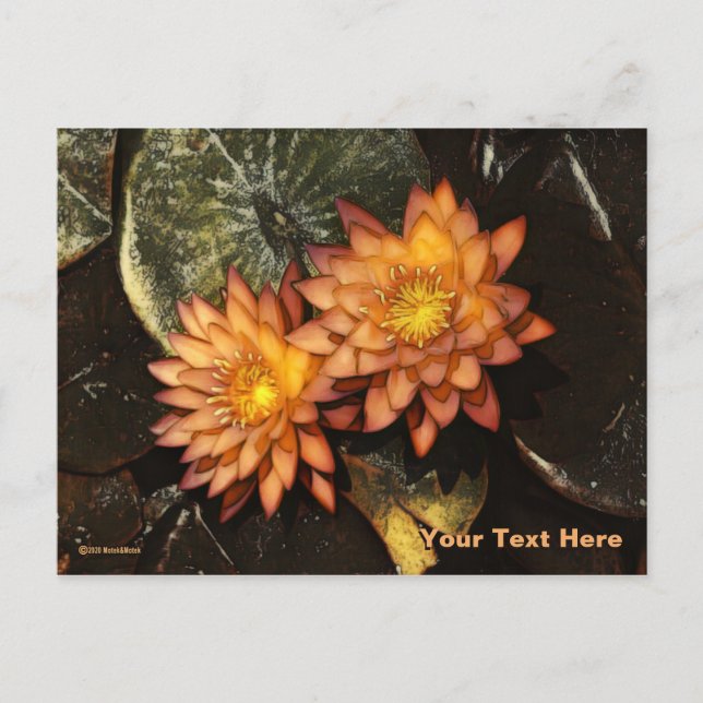 Postal Naranja Water Lilies (Anverso)