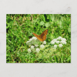Postal Naranja y mariposa negra