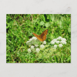 Postal Naranja y mariposa negra con tu texto