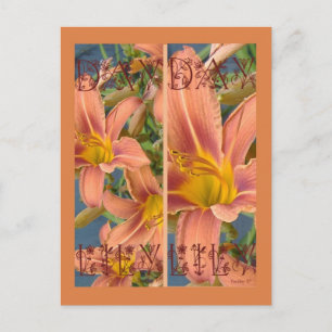 POSTAL NARANJAS DAYLILIES BOOKMARKS