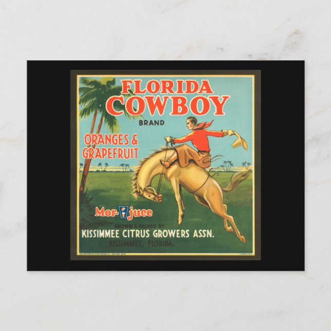 Postal Naranjas de Cowboy de Florida y anuncio de cosecha (Anverso)