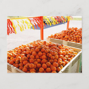 Postal Naranjas de Florida