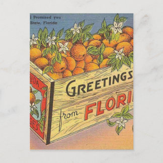 Postal Naranjas de Vintage Retro Florida