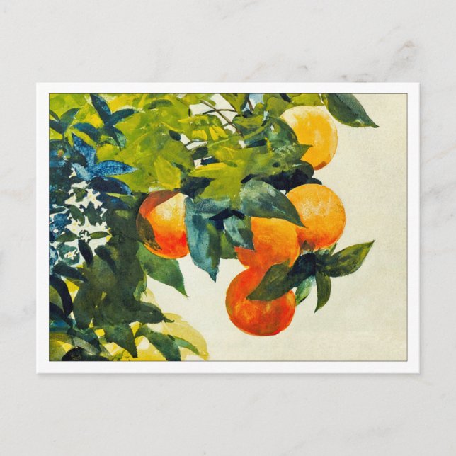 Postal Naranjas en una sucursal de Winslow Homer (Anverso)