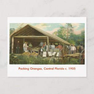 Postal Naranjas, Florida Central c. 1905