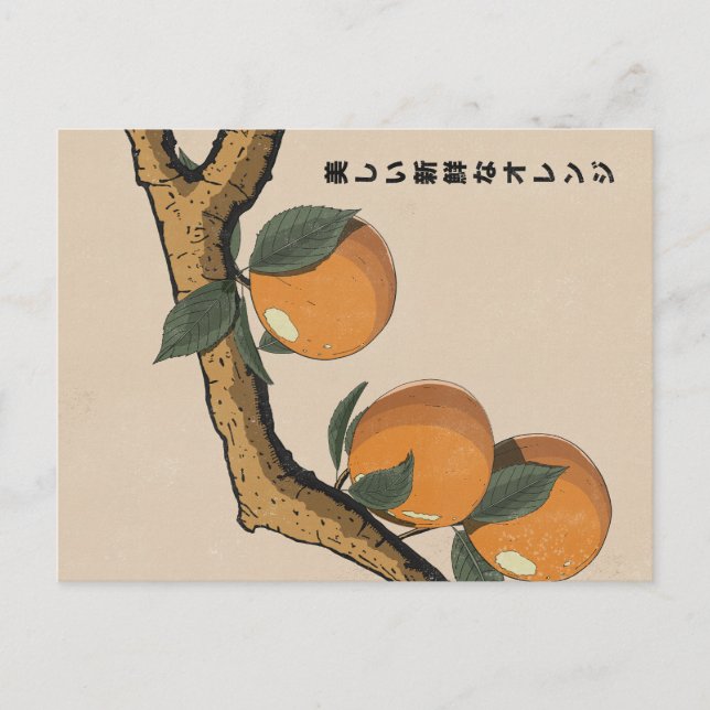 Postal Naranjas Frescas Hermosas (Anverso)