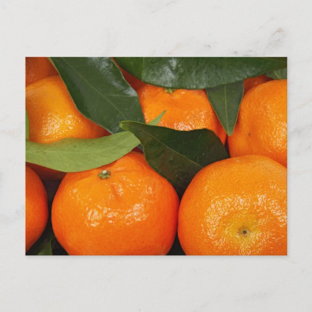 Postal Naranjas mandarín (Anverso)