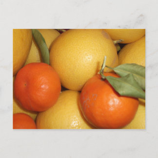 Postal Naranjas y Lemones