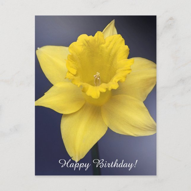 Postal Narciso Amarillo Flor Flor Pintada acuarela floral (Anverso)