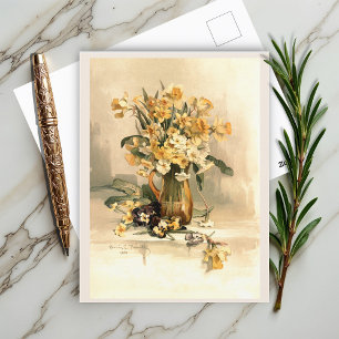 Postal Narcisos