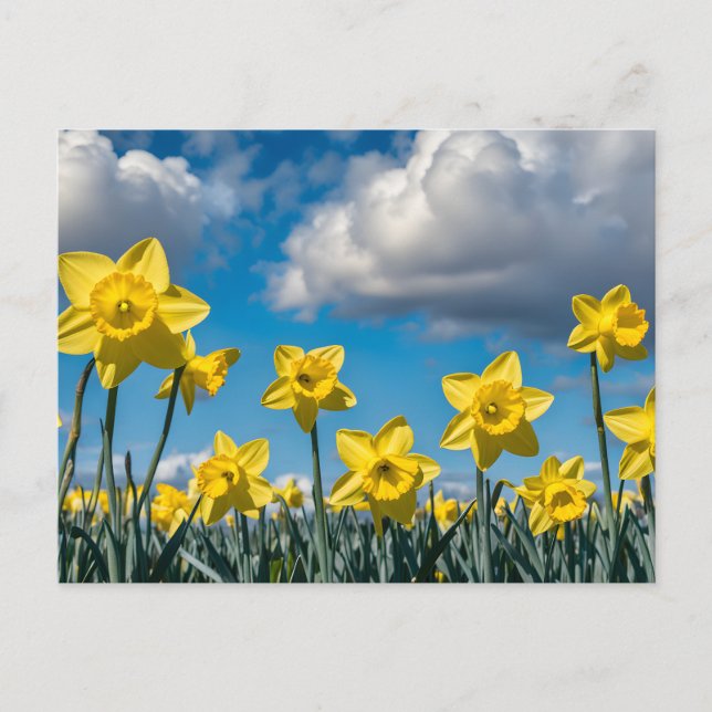 Postal Narcisos Bailando (Anverso)