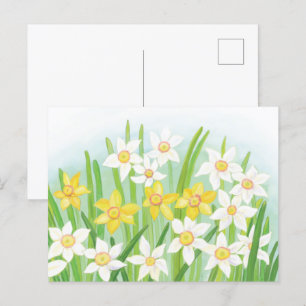 Postal Narcisos de primavera