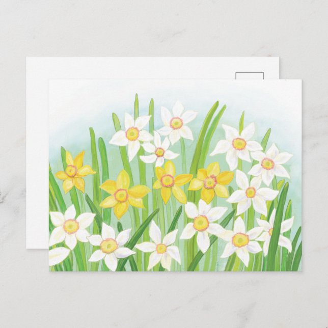 Postal Narcisos de primavera  (Anverso / Reverso)