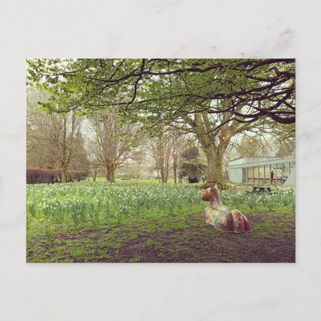 Postal Narcisos en Limerick (Anverso)