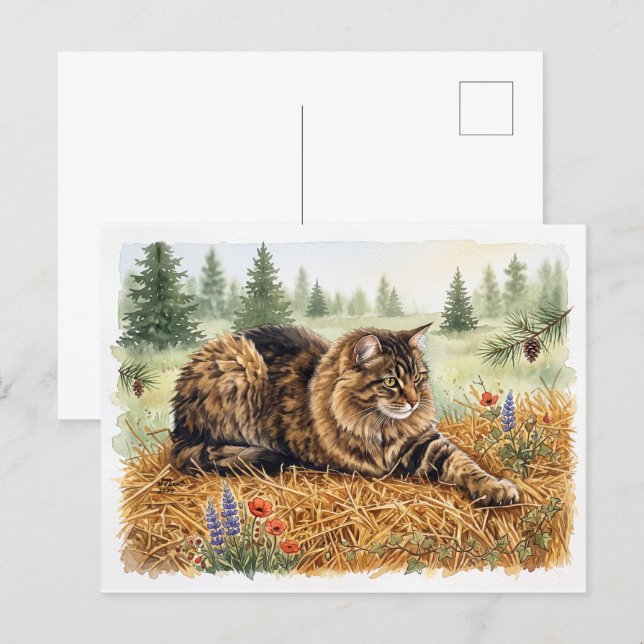 Postal Nari del bosque (Anverso / Reverso)