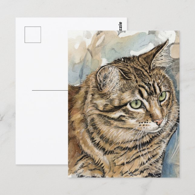 Postal Nari- Un estudio de mi gato (Anverso / Reverso)