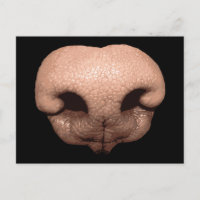 Nariz de perro gigante