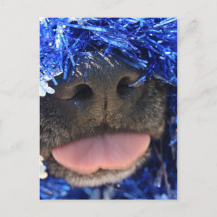 Postal Nariz de perro negro con tinta azul fuera