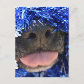 Postal Nariz de perro negro con tinta azul fuera