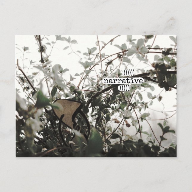 Postal ((((narrativa)))) (Anverso)