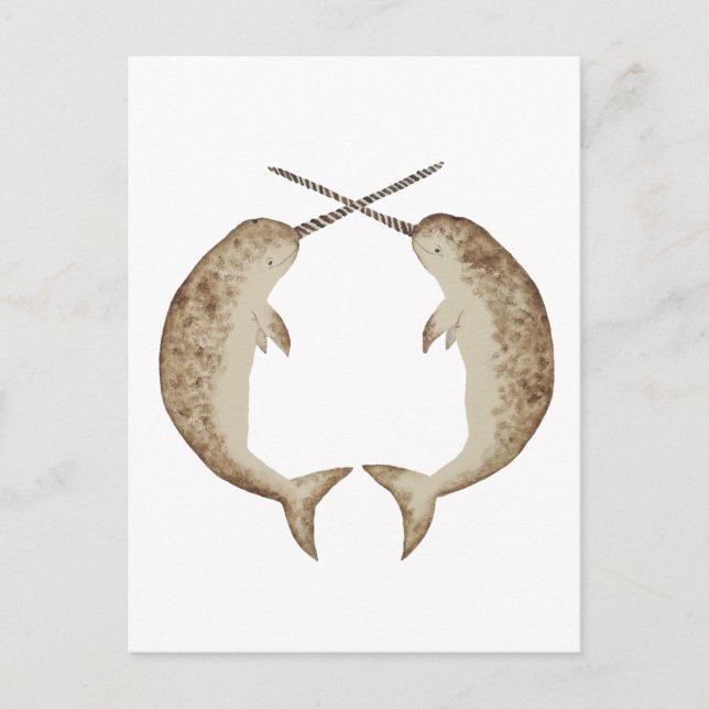 Postal Narwhal (Anverso)