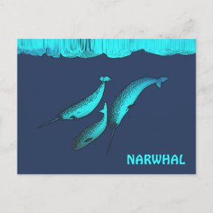 Postal Narwhal Bajo El Hielo