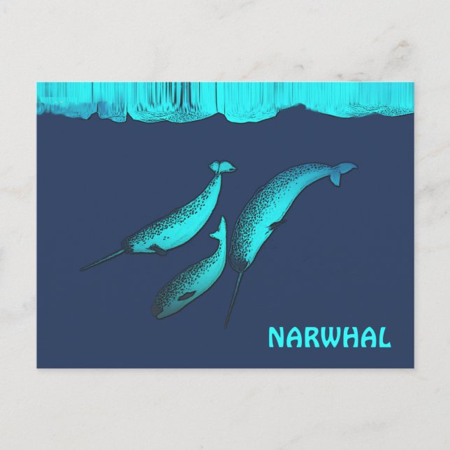 Postal Narwhal Bajo El Hielo (Anverso)