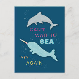 Postal Narwhal Dolphin Friends