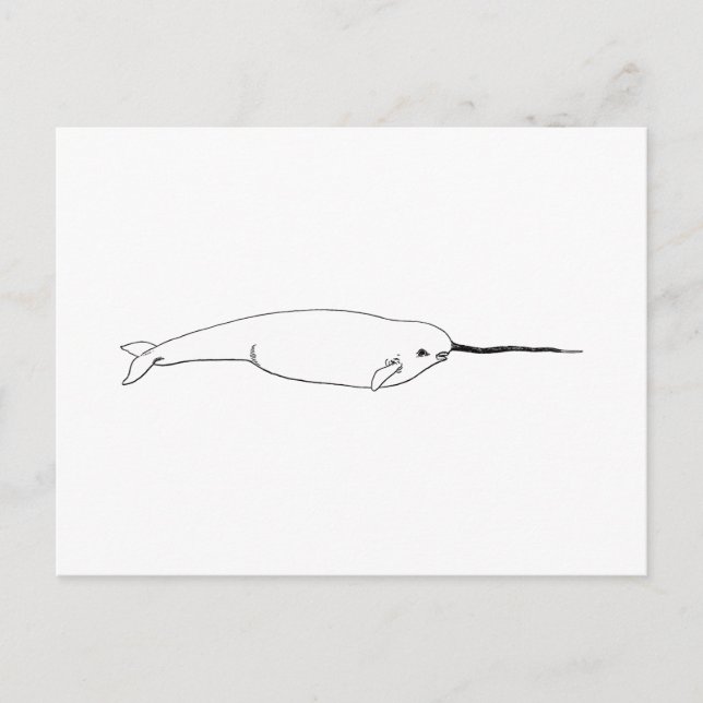 Postal Narwhal (línea ilustracion del arte) (Anverso)
