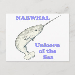 Postal Narwhal unicornio del mar