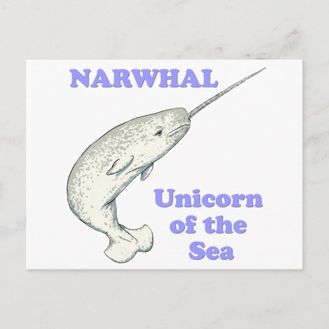 Postal Narwhal unicornio del mar (Anverso)