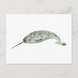 Postal Narwhal whale watercolor