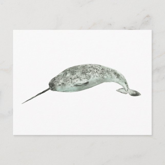 Postal Narwhal whale watercolor (Anverso)
