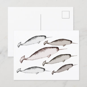Postal Narwhals Swim - Regalo de Ilustracion de ballena d