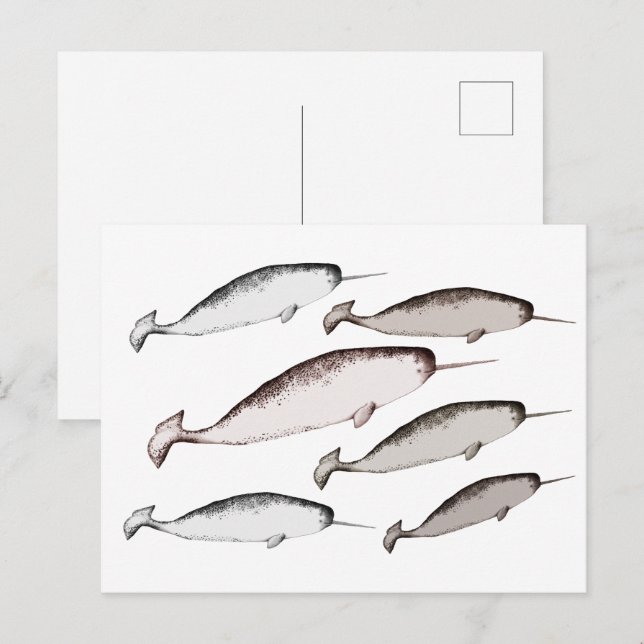 Postal Narwhals Swim - Regalo de Ilustracion de ballena d (Anverso / Reverso)
