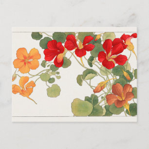 Postal Nasturtium de Tanigami Konan