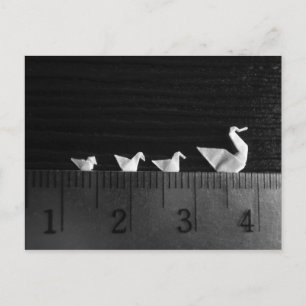 Postal Natación familiar de 3 cm