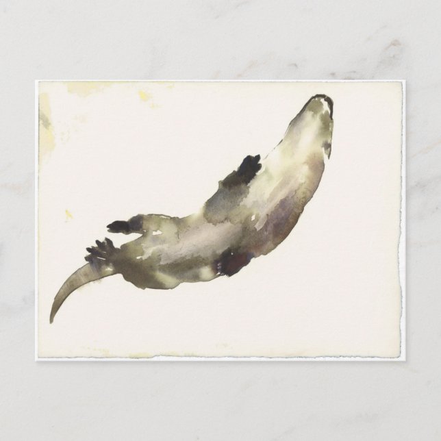 Postal Natación superior (Anverso)