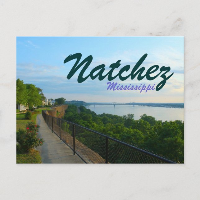 Postal Natchez Mississippi River Bluffs Great Flood 2011 (Anverso)