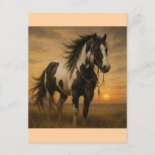 Postal nativa estadounidense para el caballo de pi