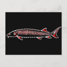 Nativo nuevo: cirujano blanco